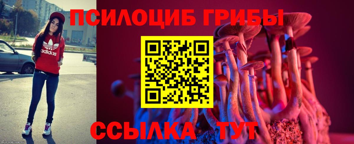 Галлюциногенные грибы Psilocybine cubensis Светлоград